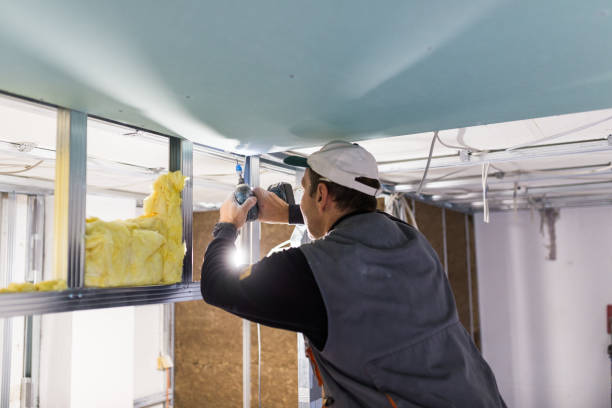 Insulation Repair Services in Marion Oaks, FL