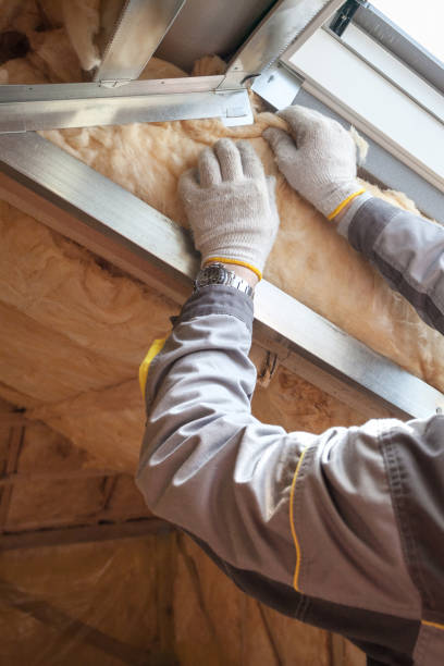 Best Insulation for New Construction  in Marion Oaks, FL
